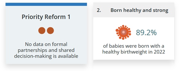 Dashboard cards: Priority Reform 1 - Formal partnerships and shared decision-making. Outcome area 1 - Aboriginal and Torres Strait Islander people enjoy long and healthy lives